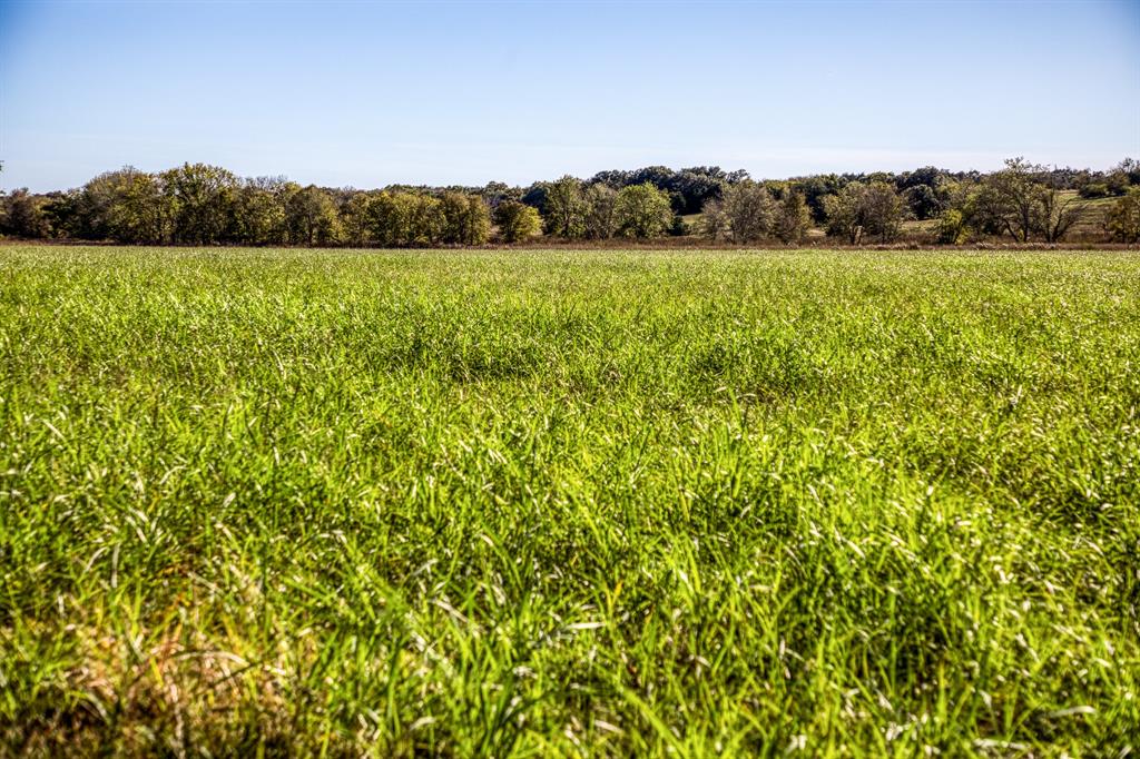 Tracts 8&9 Brandt Rd, Burton, Texas image 14