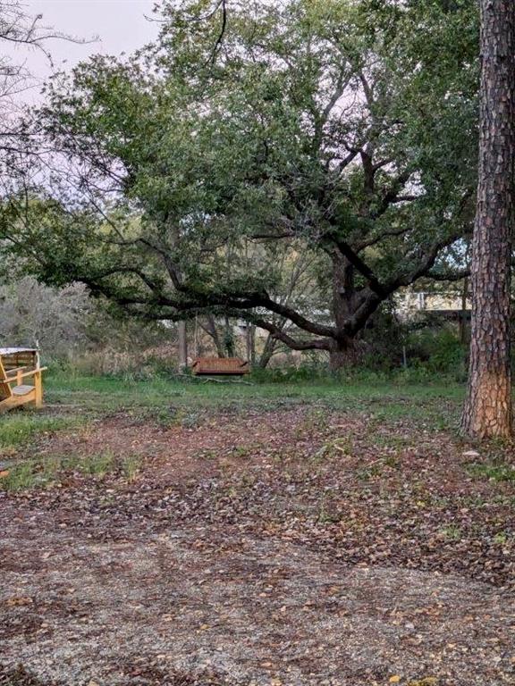 384 Petty Road, Santo, Texas image 11