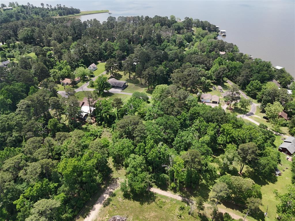 00 Lake Forest Drive, Livingston, Texas image 4