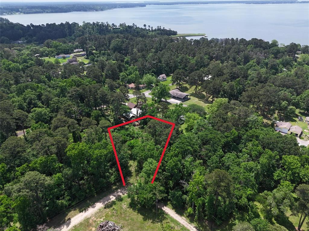 00 Lake Forest Drive, Livingston, Texas image 1