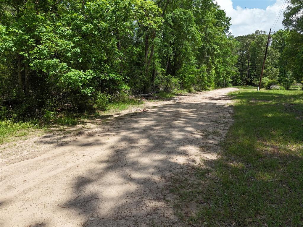 00 Lake Forest Drive, Livingston, Texas image 10