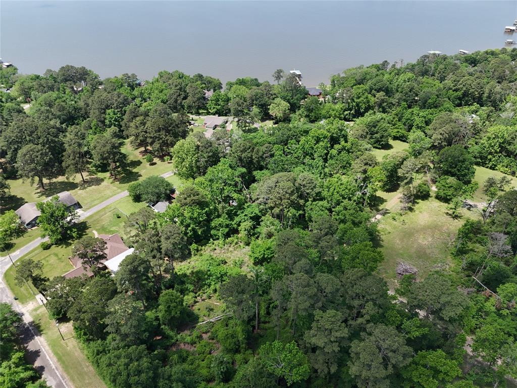 00 Lake Forest Drive, Livingston, Texas image 5