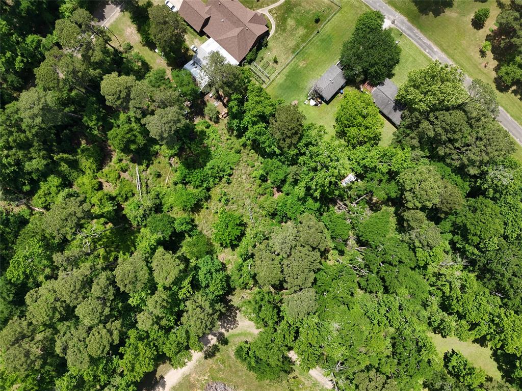 00 Lake Forest Drive, Livingston, Texas image 6
