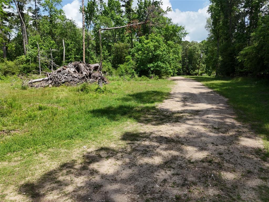 00 Lake Forest Drive, Livingston, Texas image 11