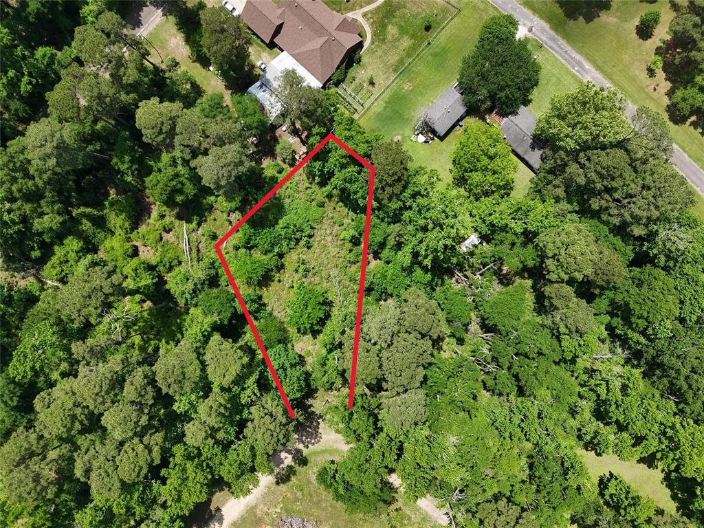 00 Lake Forest Drive, Livingston, Texas image 3