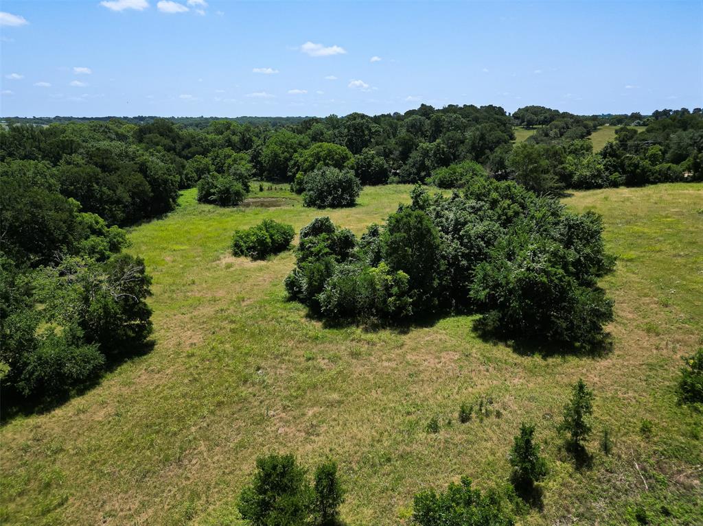 14655 Fm 1155, Washington, Texas image 8