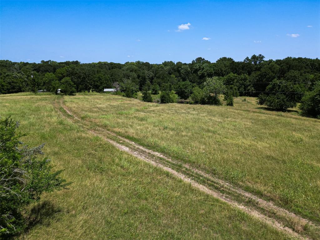 14655 Fm 1155, Washington, Texas image 12