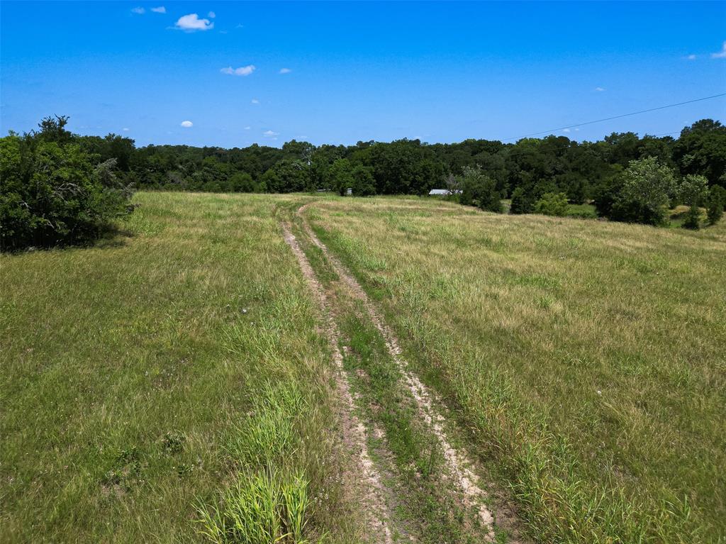 14655 Fm 1155, Washington, Texas image 7