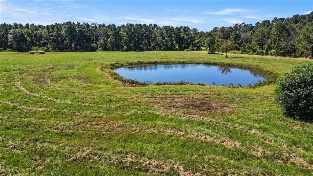 00 Holcombe Road, Groveton, Texas image 17