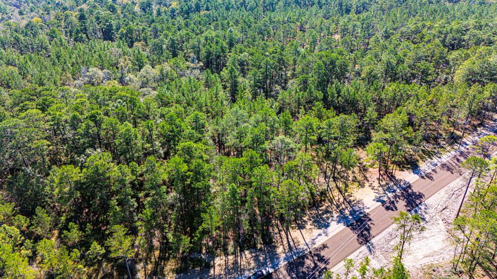 034 Magnolia Ranch Road, Onalaska, Texas image 2