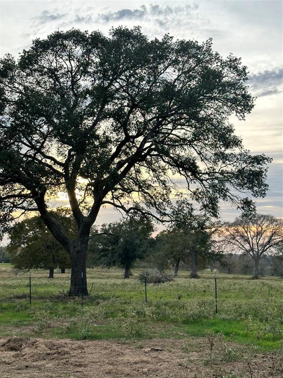 TBD E Us Hwy 90, Waelder, Texas image 6