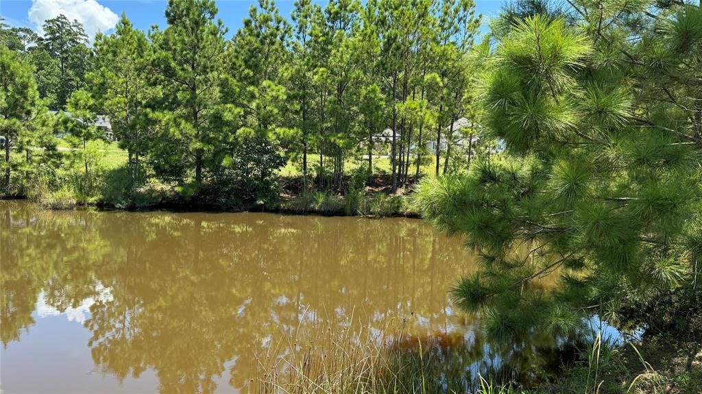 41 Silver Lakes Drive, Huntsville, Texas image 6