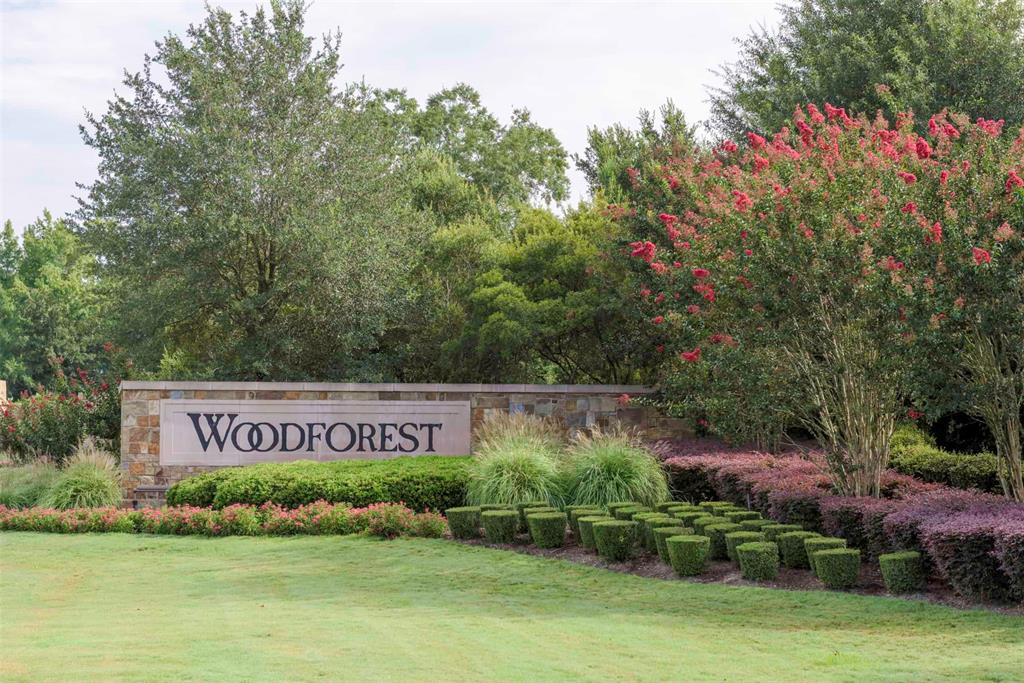 167 West Coralburst Loop, Montgomery, Texas image 6
