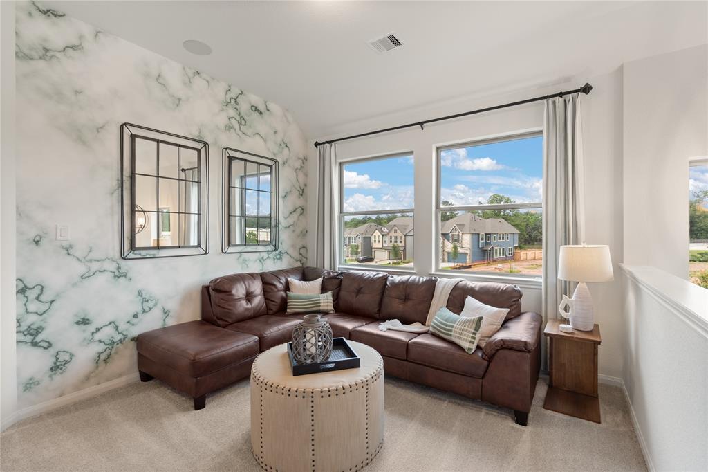 167 West Coralburst Loop, Montgomery, Texas image 3