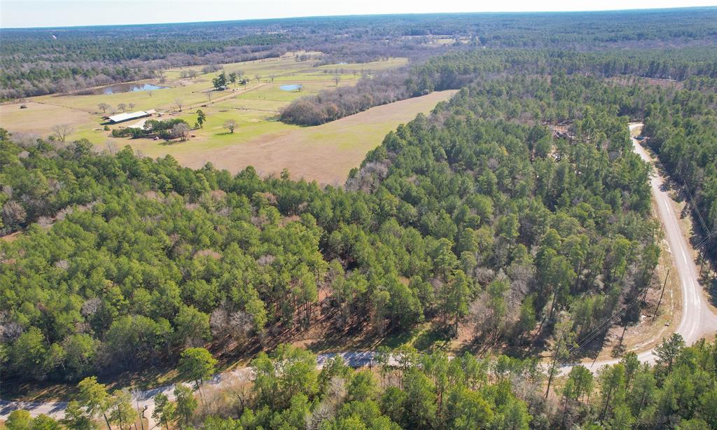 Dedication Trail, Huntsville, Texas image 23