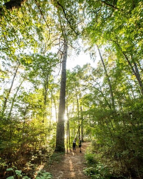 Dedication Trail, Huntsville, Texas image 2