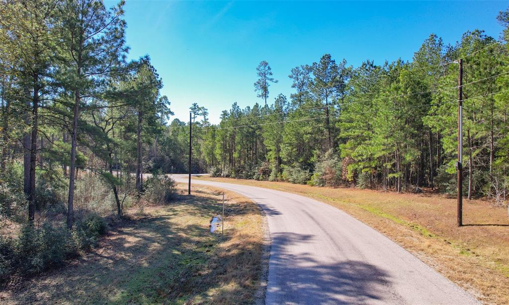 Dedication Trail, Huntsville, Texas image 9