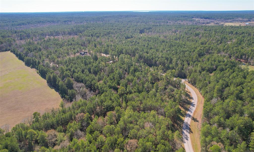 Dedication Trail, Huntsville, Texas image 26