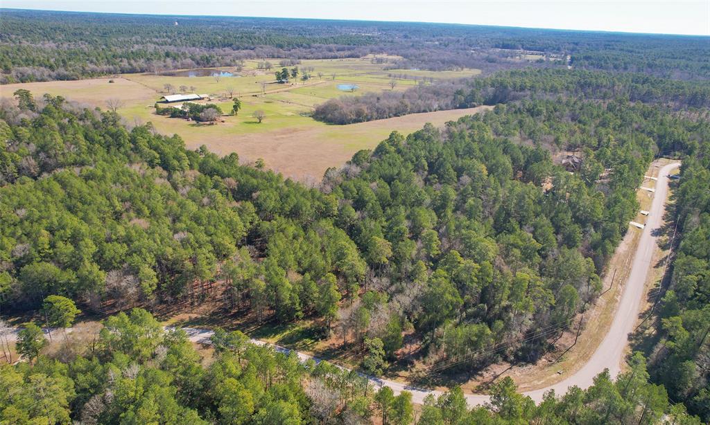 Dedication Trail, Huntsville, Texas image 21