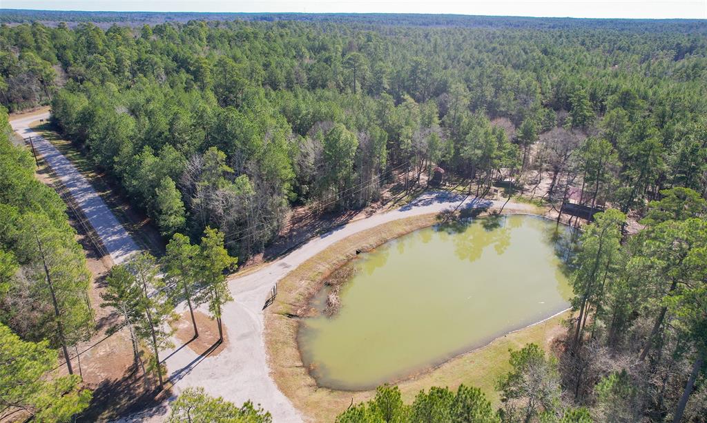 Dedication Trail, Huntsville, Texas image 29