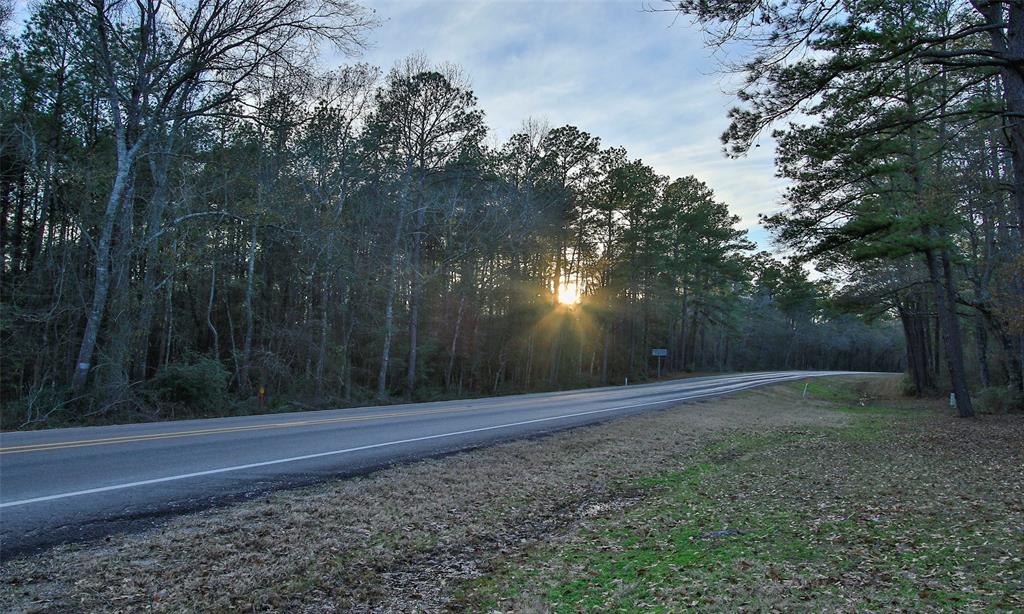 Dedication Trail, Huntsville, Texas image 46