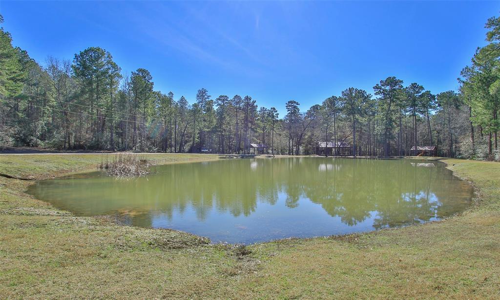 Dedication Trail, Huntsville, Texas image 33