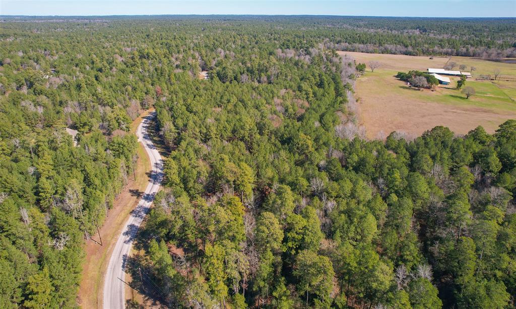 Dedication Trail, Huntsville, Texas image 20