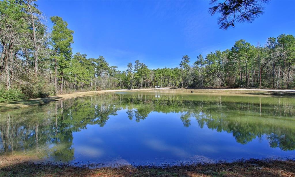 Dedication Trail, Huntsville, Texas image 35