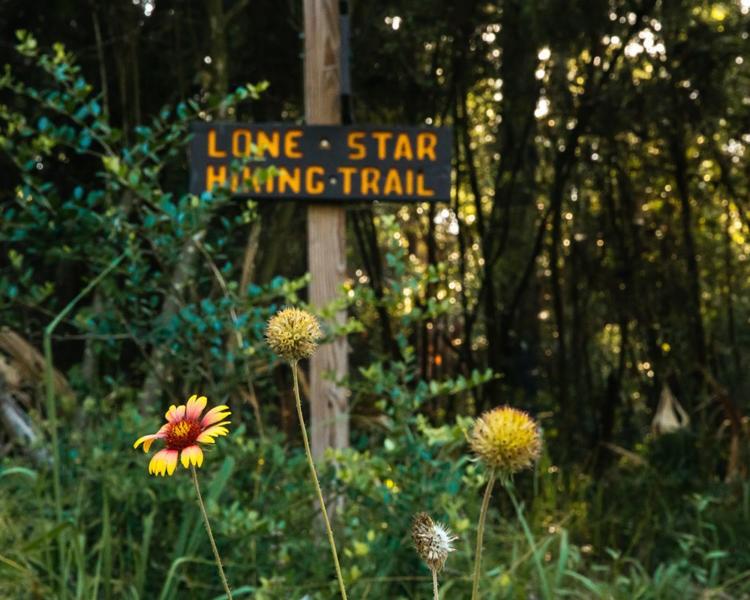 Dedication Trail, Huntsville, Texas image 4