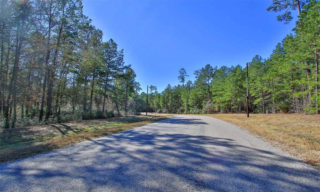 Dedication Trail, Huntsville, Texas image 10