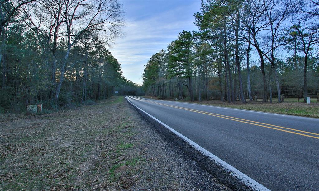 Dedication Trail, Huntsville, Texas image 48