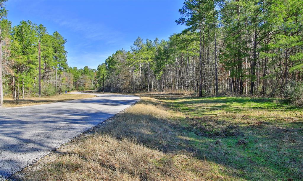 Dedication Trail, Huntsville, Texas image 13