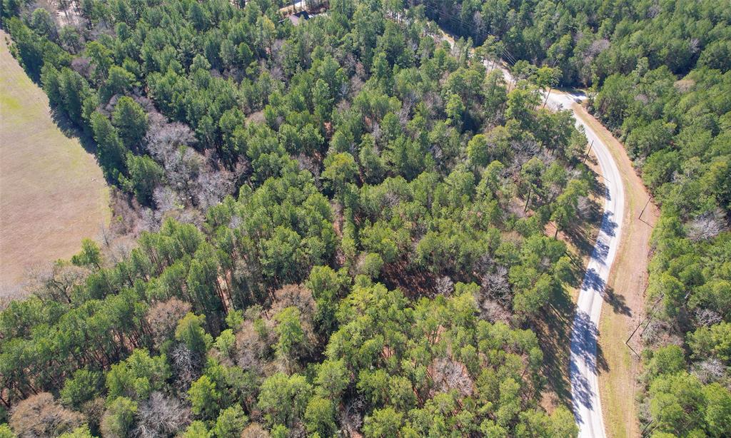 Dedication Trail, Huntsville, Texas image 27