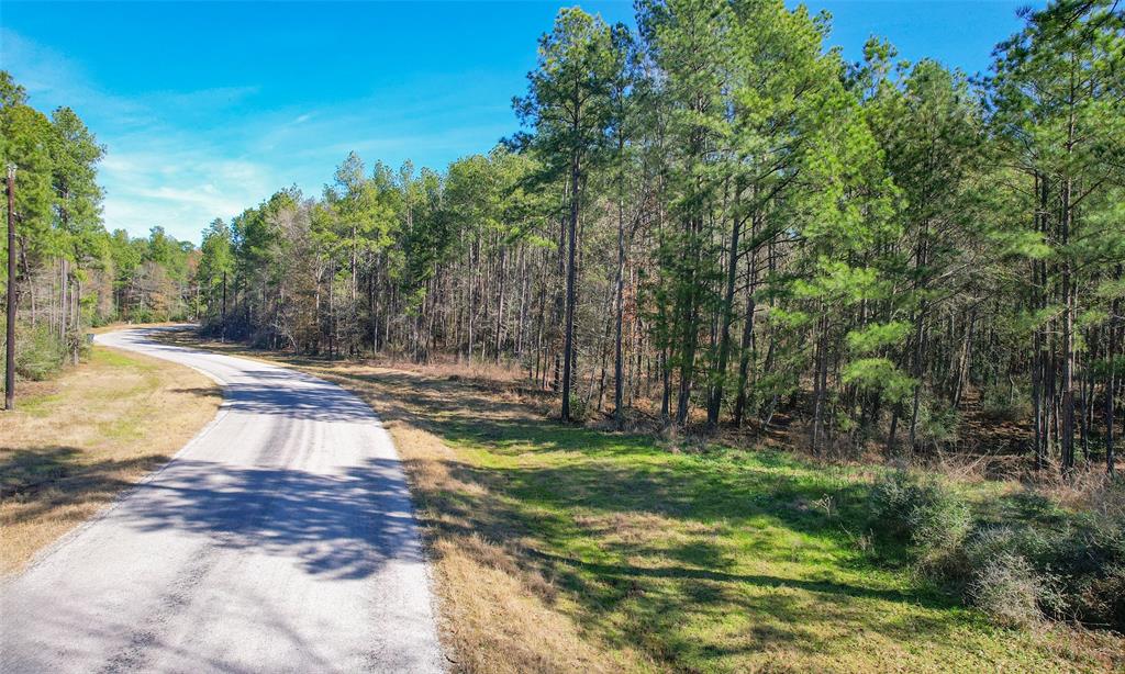 Dedication Trail, Huntsville, Texas image 8