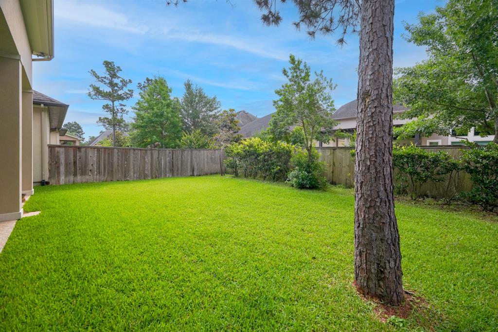 299 Sonoma Court, Conroe, Texas image 48