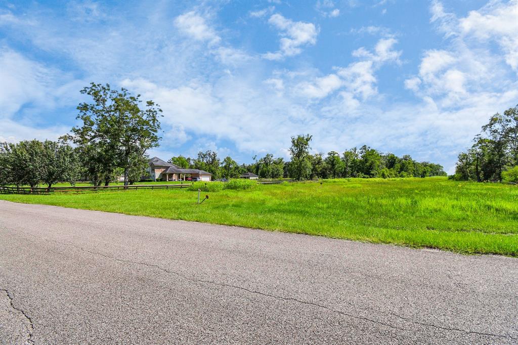1215 China Grove Drive, Rosharon, Texas image 14
