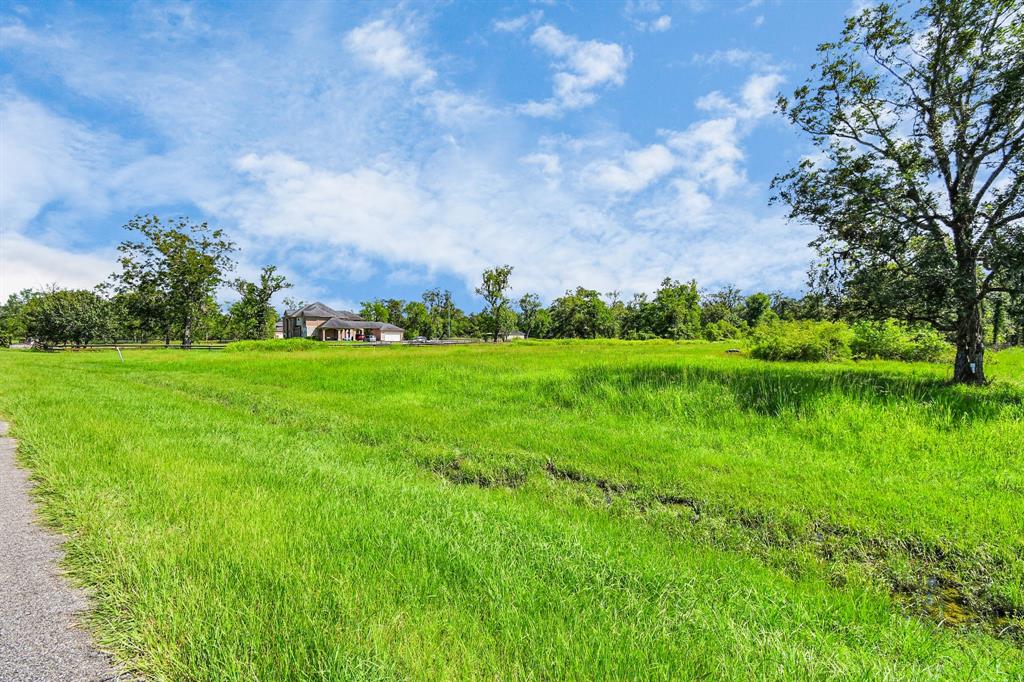1215 China Grove Drive, Rosharon, Texas image 16