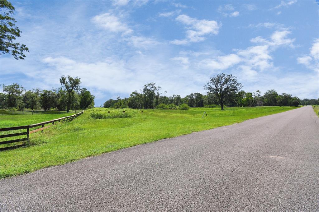 1215 China Grove Drive, Rosharon, Texas image 12