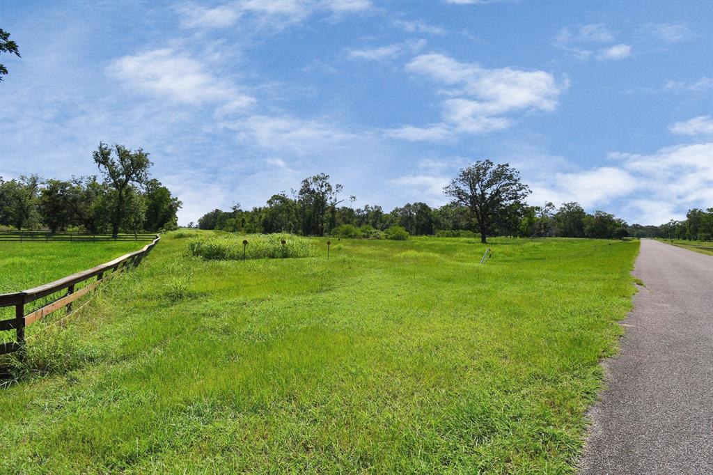 1215 China Grove Drive, Rosharon, Texas image 13