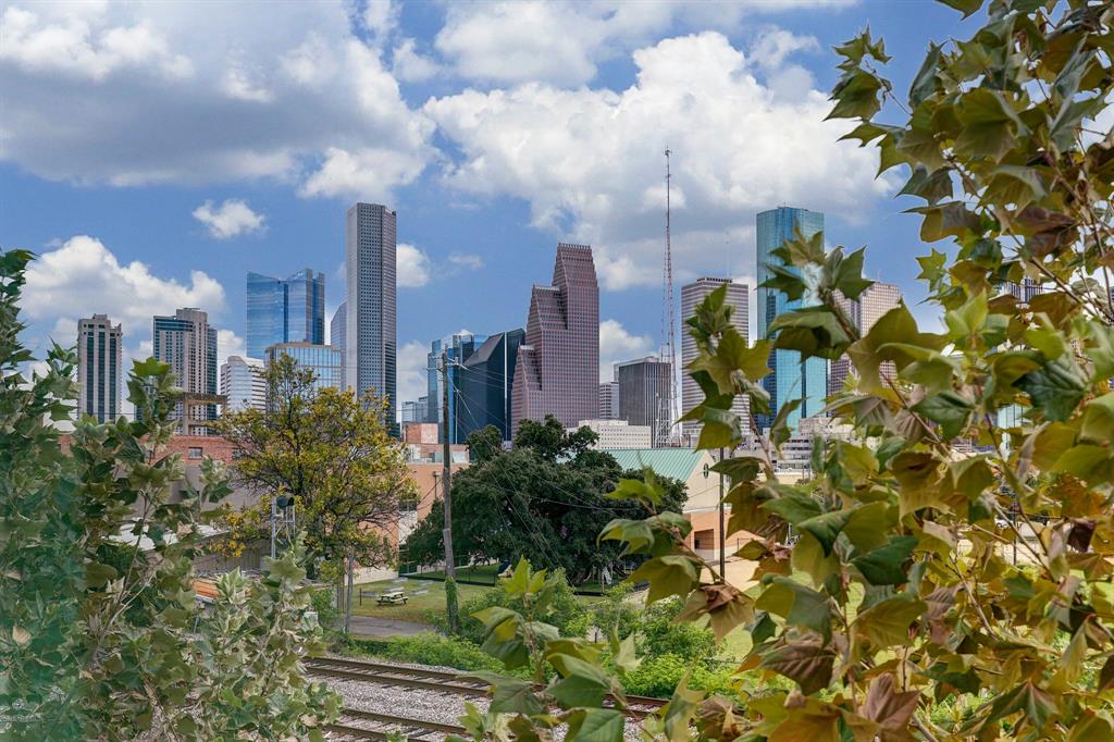 1203 Hickory Street #D, Houston, Texas image 23