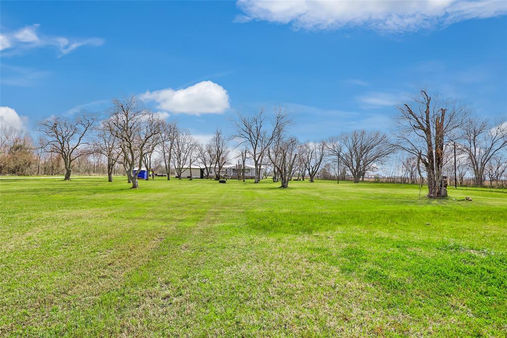 32621 Knebel Road, Waller, Texas image 4