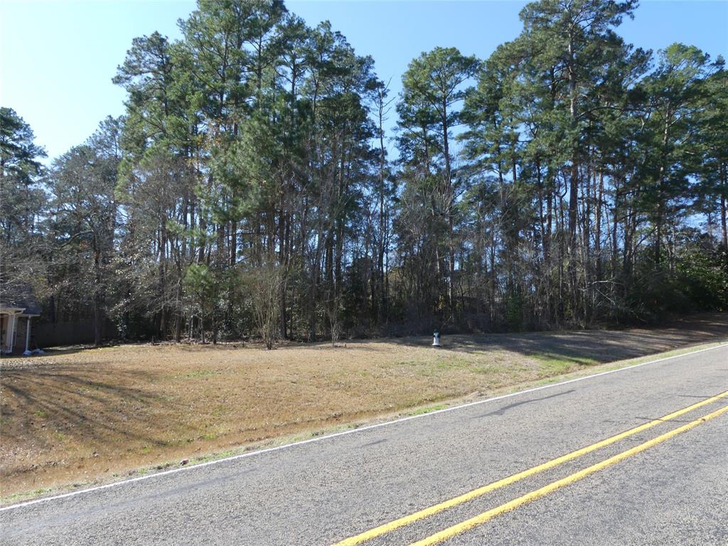 1433 Fish Hatchery Road, Huntsville, Texas image 8