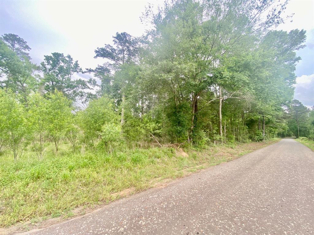2669 Acr 182, Elkhart, Texas image 6