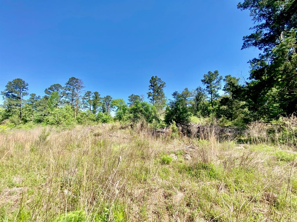 2669 Acr 182, Elkhart, Texas image 27