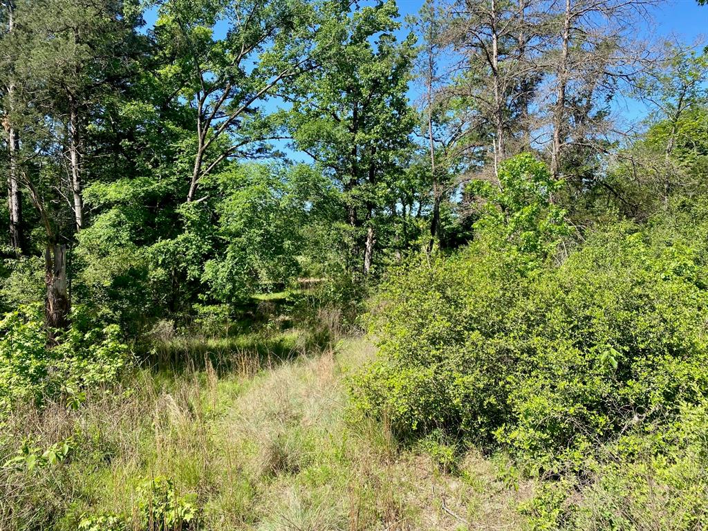 2669 Acr 182, Elkhart, Texas image 28