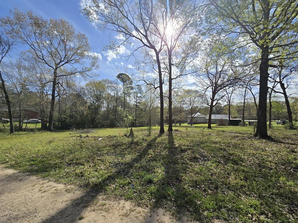 140 Stewart Street, Coldspring, Texas image 4