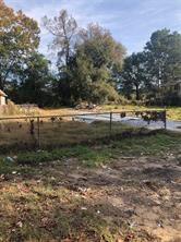 17487 S Lake Views Drive, Splendora, Texas image 1