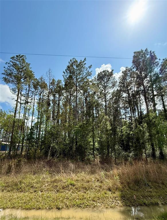 516 County Road 3548, Cleveland, Texas image 2