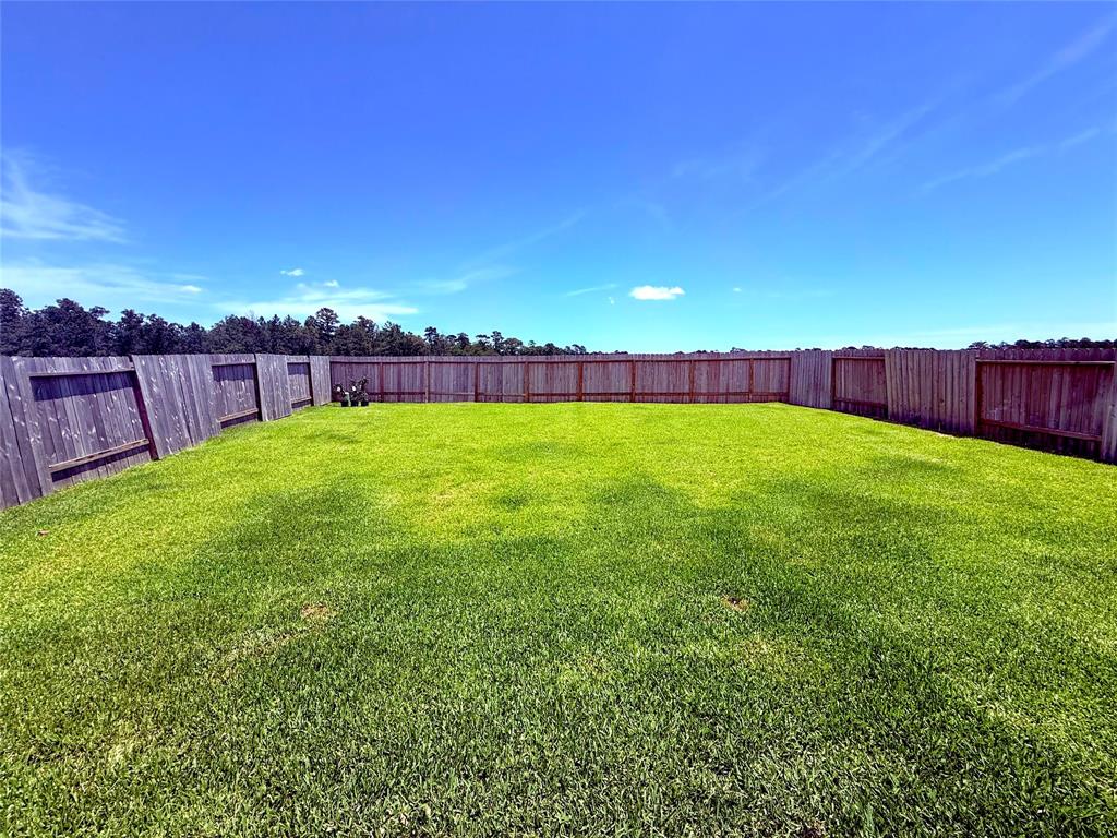 24446 Elmwood Falls Drive, Spring, Texas image 43