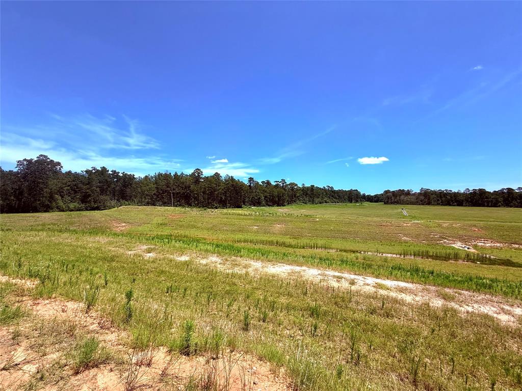24446 Elmwood Falls Drive, Spring, Texas image 42